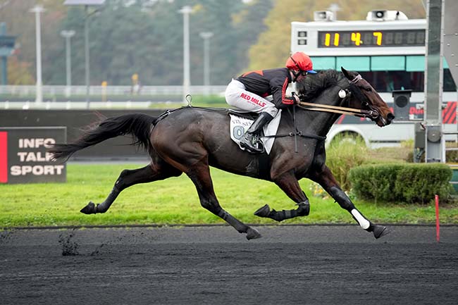 Photo d'arrivée de la course pmu PRIX RMC (PRIX DE MANDELIEU) à PARIS-VINCENNES le Dimanche 17 novembre 2024