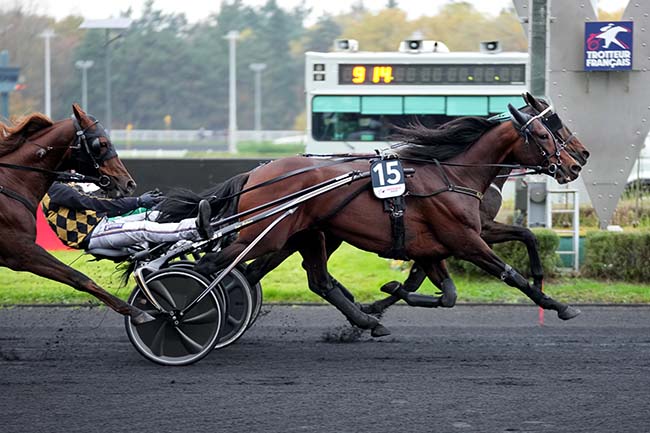 Photo d'arrivée de la course pmu PRIX DE BRETAGNE-AMERIQUE RACES Q1 à PARIS-VINCENNES le Dimanche 17 novembre 2024