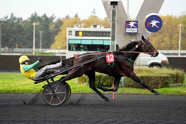 Photo d'arrivée de la course pmu PRIX PIERRE PLAZEN à PARIS-VINCENNES le Dimanche 17 novembre 2024