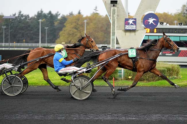 Photo d'arrivée de la course pmu PRIX GUY DELOISON à PARIS-VINCENNES le Dimanche 17 novembre 2024