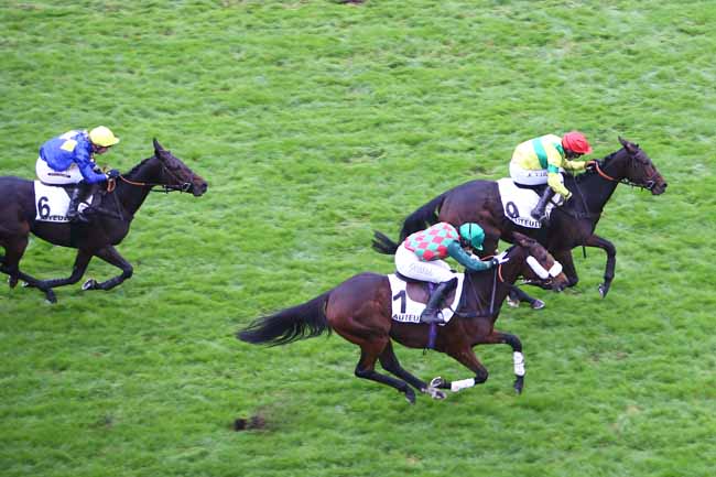 Photo d'arrivée de la course pmu PRIX BERNARD SECLY à AUTEUIL le Dimanche 17 novembre 2024