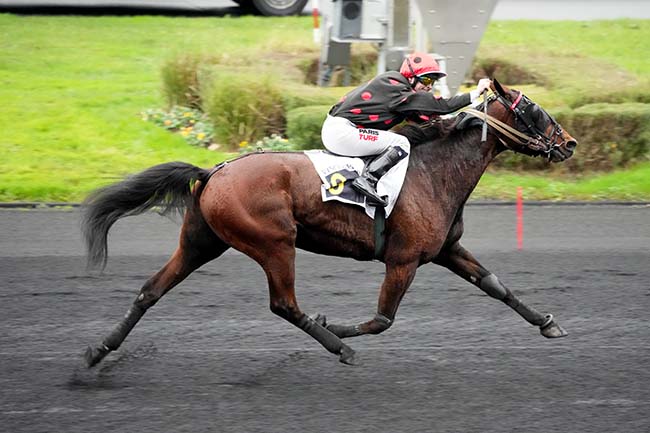 Photo d'arrivée de la course pmu PRIX DE SERIGNAN à PARIS-VINCENNES le Lundi 18 novembre 2024