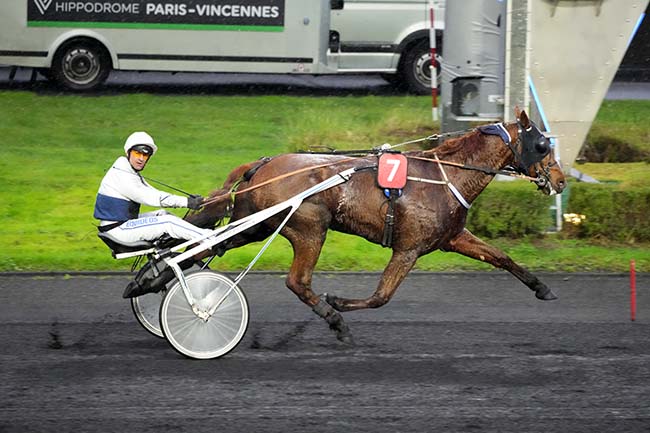 Photo d'arrivée de la course pmu PRIX DE CASSIS à PARIS-VINCENNES le Lundi 18 novembre 2024