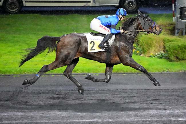 Photo d'arrivée de la course pmu PRIX DE MIRAMONT-DE-GUYENNE à PARIS-VINCENNES le Lundi 18 novembre 2024