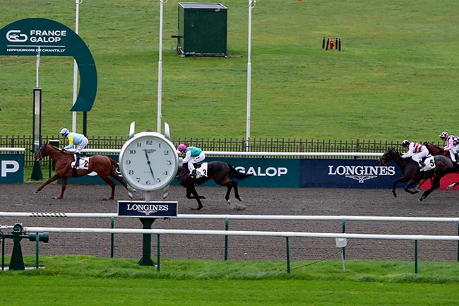 Photo d'arrivée de la course pmu PRIX DE TROISSY à CHANTILLY le Mardi 19 novembre 2024