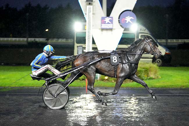 Photo d'arrivée de la course pmu PRIX WERINGIA à PARIS-VINCENNES le Mardi 19 novembre 2024