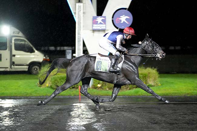 Photo d'arrivée de la course pmu PRIX HESTIA à PARIS-VINCENNES le Mardi 19 novembre 2024