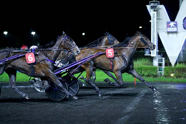 Photo d'arrivée de la course pmu PRIX DE CARENTAN à PARIS-VINCENNES le Mardi 19 novembre 2024