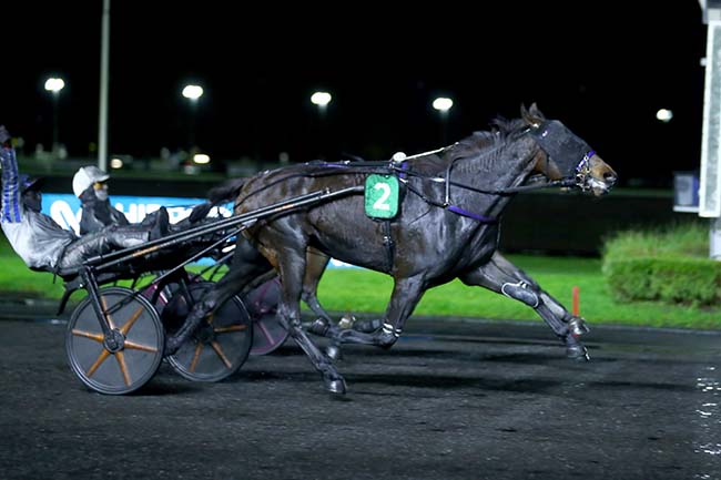 Photo d'arrivée de la course pmu PRIX TERCIDINA à PARIS-VINCENNES le Mardi 19 novembre 2024