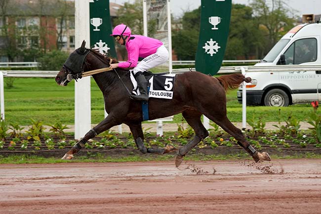 Photo d'arrivée de la course pmu PRIX DE LA DEPECHE DU MIDI à TOULOUSE le Mercredi 20 novembre 2024