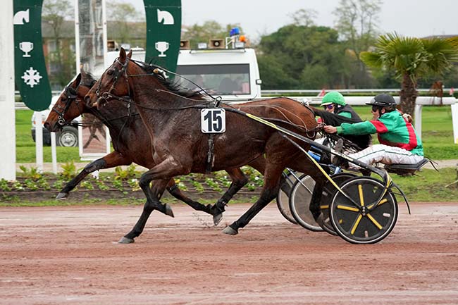 Photo d'arrivée de la course pmu GRAND PRIX DES AMATEURS à TOULOUSE le Mercredi 20 novembre 2024