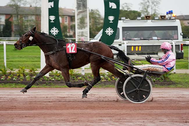 Photo d'arrivée de la course pmu PRIX LOUIS ANGELERQUE à TOULOUSE le Mercredi 20 novembre 2024