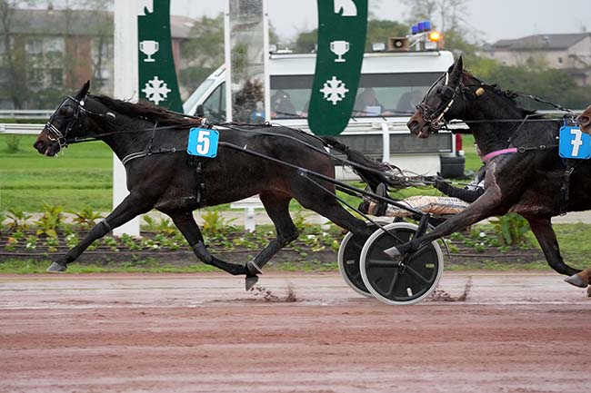 Photo d'arrivée de la course pmu PRIX ZENITUDE à TOULOUSE le Mercredi 20 novembre 2024