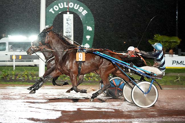 Photo d'arrivée de la course pmu PRIX ACTU TOULOUSE à TOULOUSE le Mercredi 20 novembre 2024