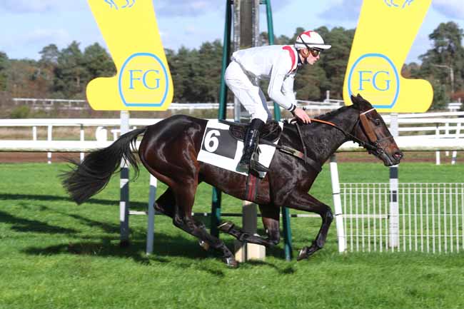 Photo d'arrivée de la course pmu PRIX DE BARBIZON à FONTAINEBLEAU le Mercredi 20 novembre 2024