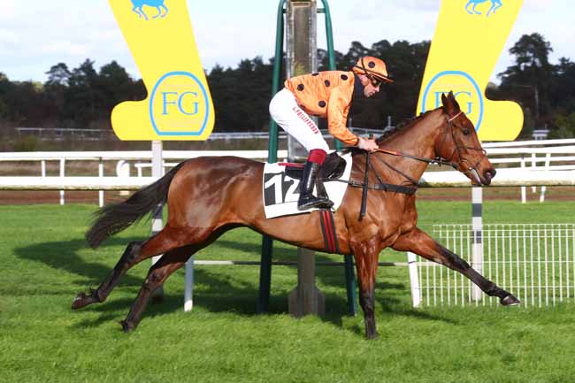 Photo d'arrivée de la course pmu PRIX DE LA FONTAINE AUX BICHES à FONTAINEBLEAU le Mercredi 20 novembre 2024