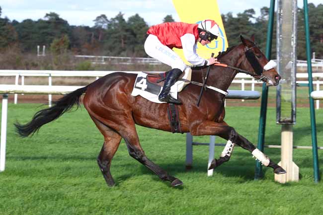 Photo d'arrivée de la course pmu PRIX HENRY MAZE-SENCIER à FONTAINEBLEAU le Mercredi 20 novembre 2024