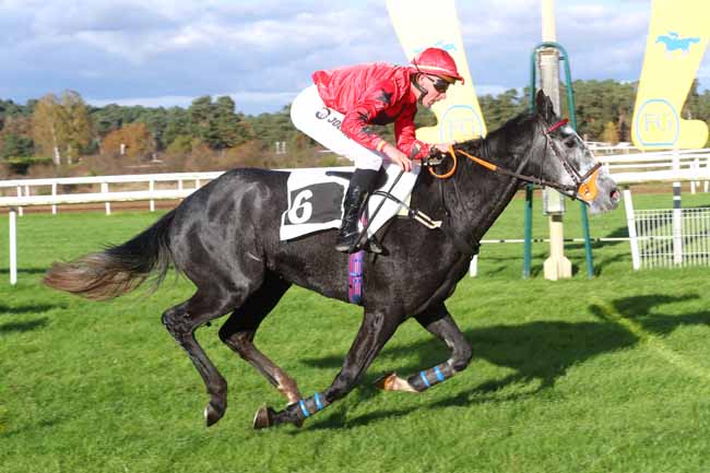 Photo d'arrivée de la course pmu PRIX DE LA ROUTE AMELIE à FONTAINEBLEAU le Mercredi 20 novembre 2024