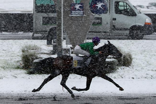 Photo d'arrivée de la course pmu PRIX URGENT à PARIS-VINCENNES le Jeudi 21 novembre 2024