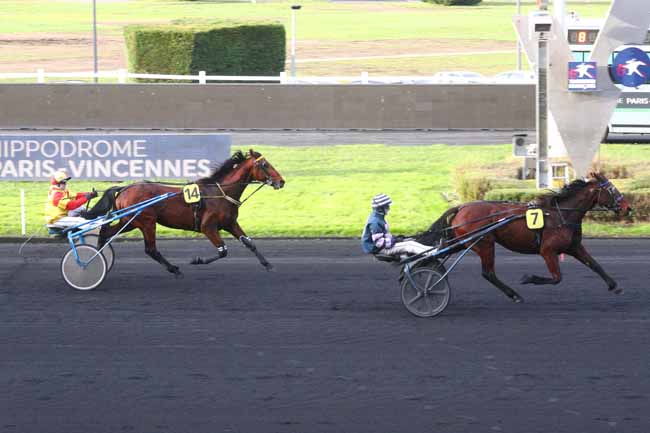 Photo d'arrivée de la course pmu PRIX DANIEL MIETTE à PARIS-VINCENNES le Samedi 23 novembre 2024