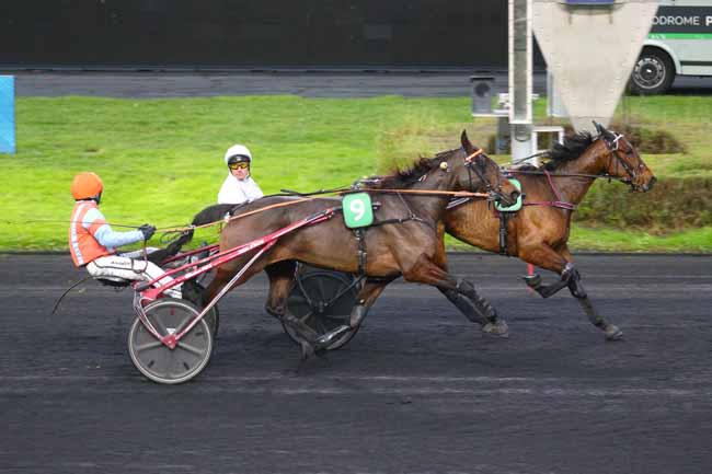 Photo d'arrivée de la course pmu PRIX D'ANGLES à PARIS-VINCENNES le Samedi 23 novembre 2024