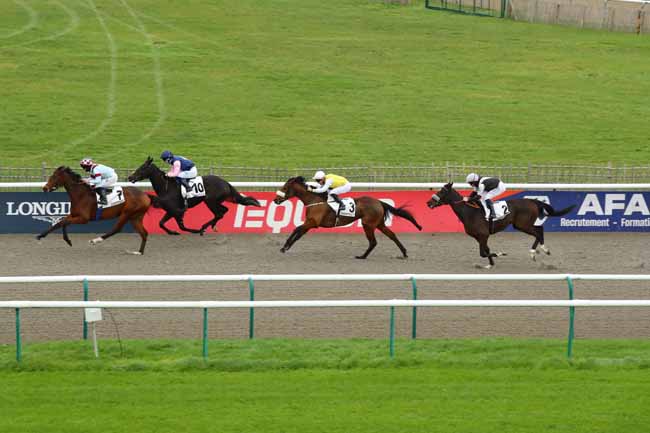 Photo d'arrivée de la course pmu GRAND PRIX DE FONTAINEBLEAU - FONDS EUROPEEN DE L'ELEVAGE à CHANTILLY le Samedi 23 novembre 2024