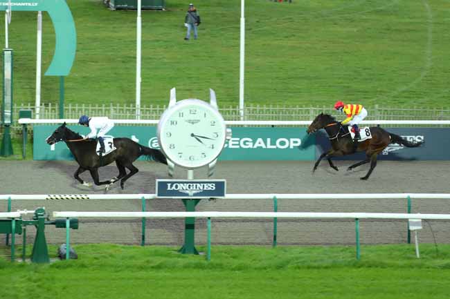 Photo d'arrivée de la course pmu PRIX DU BELVEDERE DES DRUIDES à CHANTILLY le Samedi 23 novembre 2024