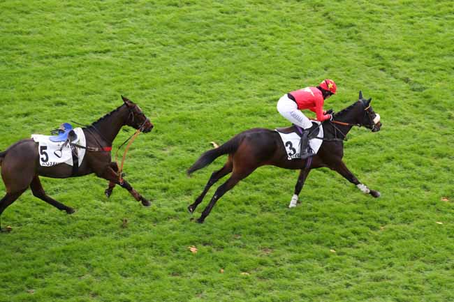 Photo d'arrivée de la course pmu PRIX DE BIARRITZ à AUTEUIL le Dimanche 24 novembre 2024