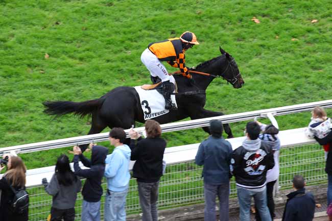 Photo d'arrivée de la course pmu GRANDE COURSE DE HAIES DES 4 ANS (PRIX RENAUD DU VIVIER) à AUTEUIL le Dimanche 24 novembre 2024