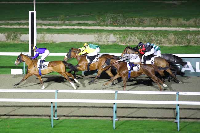 Photo d'arrivée de la course pmu PRIX DU BUSTE DE DESIRE LE HOC à DEAUVILLE le Samedi 14 décembre 2024