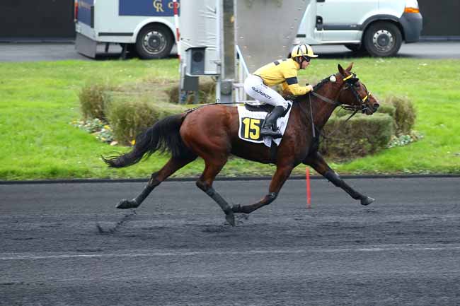 Photo d'arrivée de la course pmu PRIX DE VINCENNES à PARIS-VINCENNES le Dimanche 15 décembre 2024