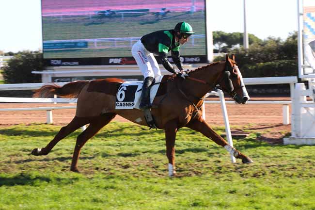 Photo d'arrivée de la course pmu PRIX ANDRE ADELE à CAGNES-SUR-MER le Lundi 16 décembre 2024