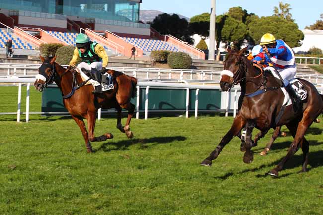 Photo d'arrivée de la course pmu PRIX PHILIPPE LORAIN à CAGNES-SUR-MER le Lundi 16 décembre 2024