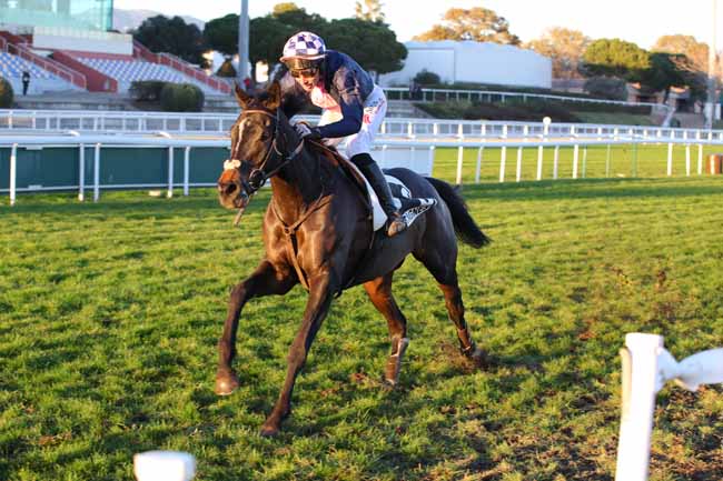 Photo d'arrivée de la course pmu PRIX JEAN-YVES BEAURAIN à CAGNES-SUR-MER le Lundi 16 décembre 2024