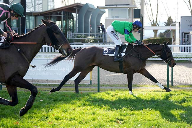 Photo d'arrivée de la course pmu PRIX DU PAU HUNT RACES à PAU le Mardi 17 décembre 2024