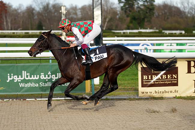 Photo d'arrivée de la course pmu WATHBA STALLIONS CUP à PAU le Mardi 17 décembre 2024