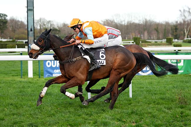 Photo d'arrivée de la course pmu PRIX ANDRE TOULET à PAU le Mardi 17 décembre 2024