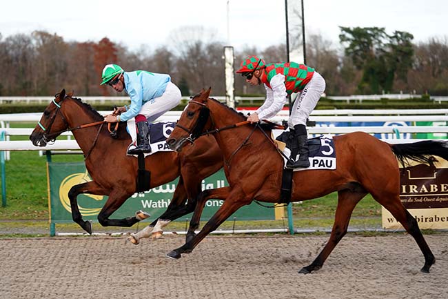 Photo d'arrivée de la course pmu WATHBA STUD FARM à PAU le Mardi 17 décembre 2024