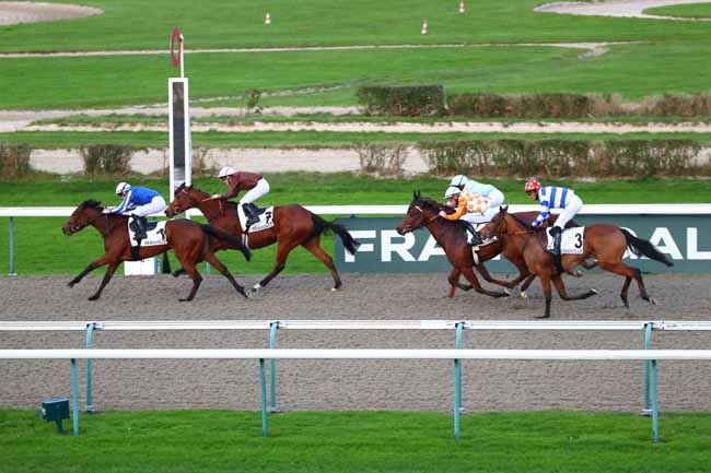 Photo d'arrivée de la course pmu PRIX DE LA PLACIERE à DEAUVILLE le Mercredi 18 décembre 2024