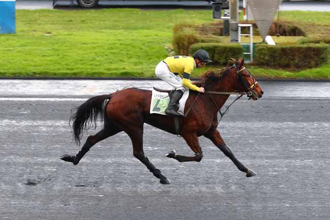 Photo d'arrivée de la course pmu PRIX DE MONTBRISON à PARIS-VINCENNES le Dimanche 22 décembre 2024