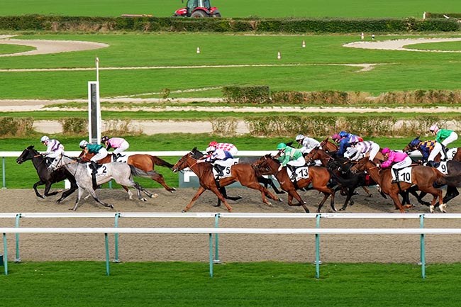 Photo d'arrivée de la course pmu PRIX DE CUIGNY à DEAUVILLE le Lundi 23 décembre 2024