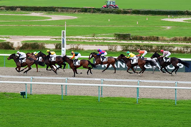 Photo d'arrivée de la course pmu PRIX DE BORNEL à DEAUVILLE le Lundi 23 décembre 2024