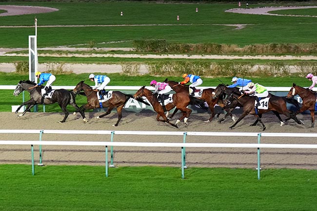 Photo d'arrivée de la course pmu PRIX DE LA MAISON DE L'ARTICHAUT à DEAUVILLE le Lundi 23 décembre 2024