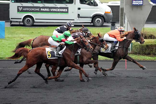 Photo d'arrivée de la course pmu PRIX DE FOS-SUR-MER à PARIS-VINCENNES le Mardi 24 décembre 2024