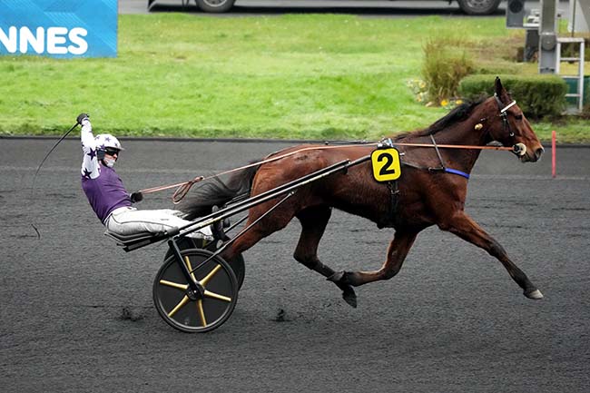 Photo d'arrivée de la course pmu PRIX DE SAINT-LEONARD à PARIS-VINCENNES le Mardi 24 décembre 2024