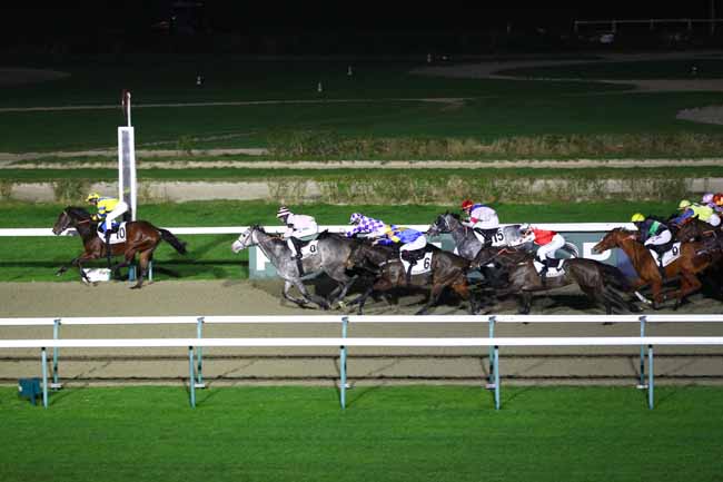 Photo d'arrivée de la course pmu PRIX DU MANOIR DES EVEQUES à DEAUVILLE le Samedi 28 décembre 2024