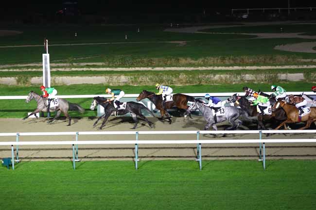 Photo d'arrivée de la course pmu PRIX DU MANOIR DE PRETOT à DEAUVILLE le Samedi 28 décembre 2024