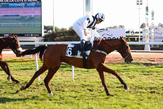 Photo d'arrivée de la course pmu PRIX DE GLASGOW à CAGNES-SUR-MER le Lundi 30 décembre 2024