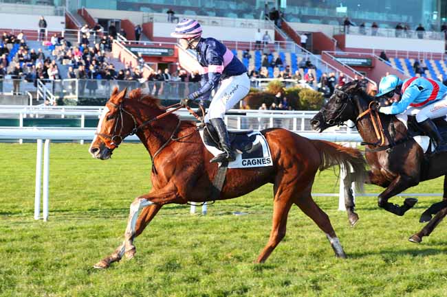 Photo d'arrivée de la course pmu PRIX DU PAYS DE LOIRE à CAGNES-SUR-MER le Lundi 30 décembre 2024