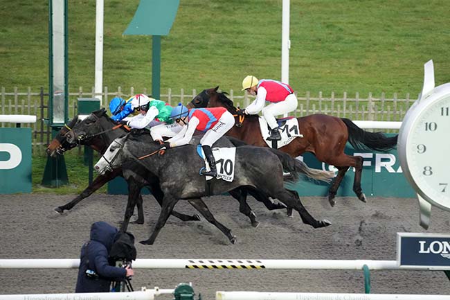 Photo d'arrivée de la course pmu PRIX DU DONJON DE CLERMONT à CHANTILLY le Lundi 30 décembre 2024